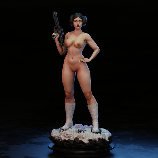 3771 Princess Leia NSFW - Star Wars - STL 3D Print Files