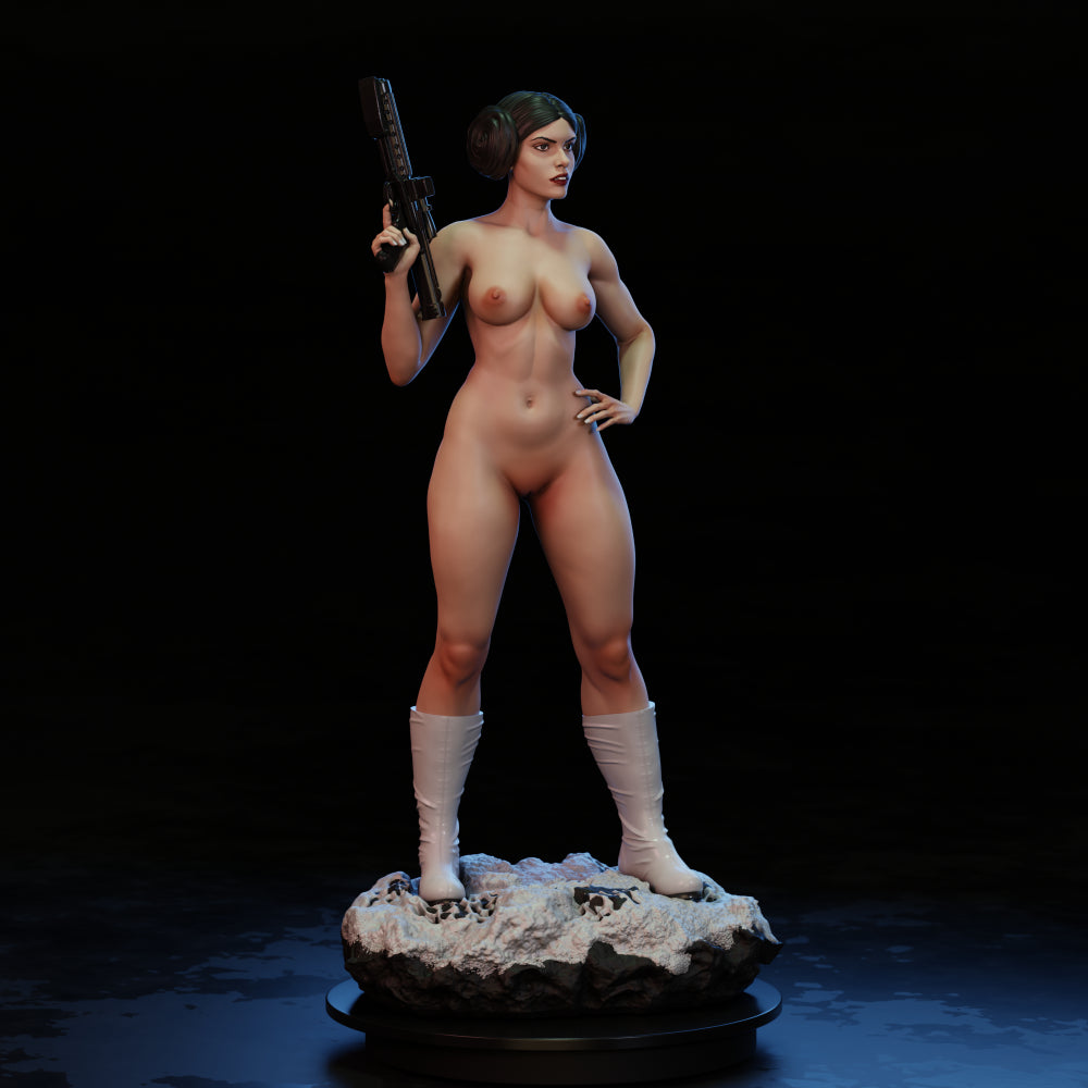 3771 Princess Leia NSFW - Star Wars - STL 3D Print Files