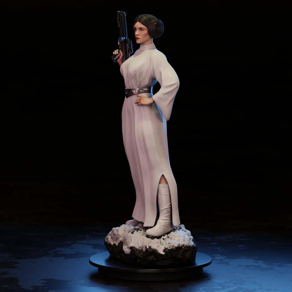 3771 Princess Leia NSFW - Star Wars - STL 3D Print Files