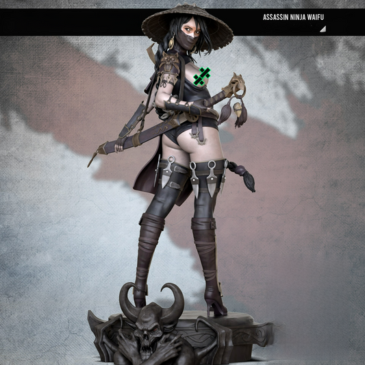 2298 Assassin Ninja NSFW - STL 3D Print Files