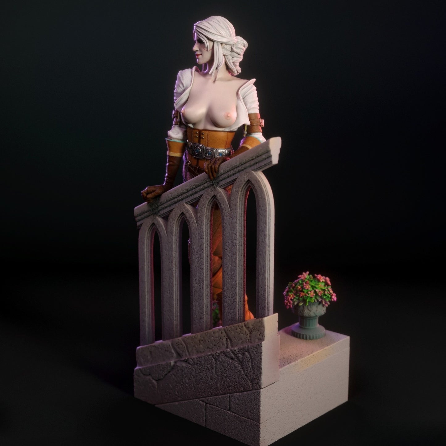4216 Ciri NSFW - Witcher - STL 3D Print Files X 3D Animations