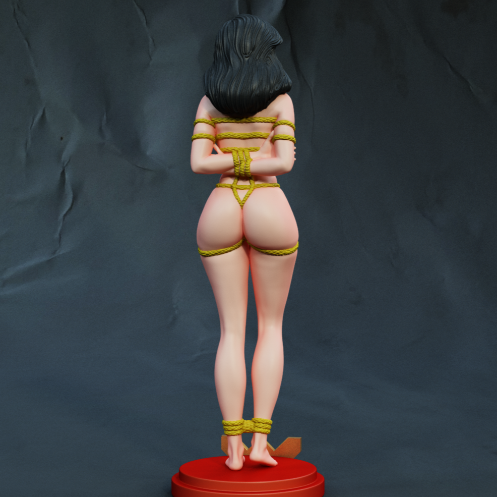 4170 Wonder Woman NSFW - DC Comics - STL 3D Print Files