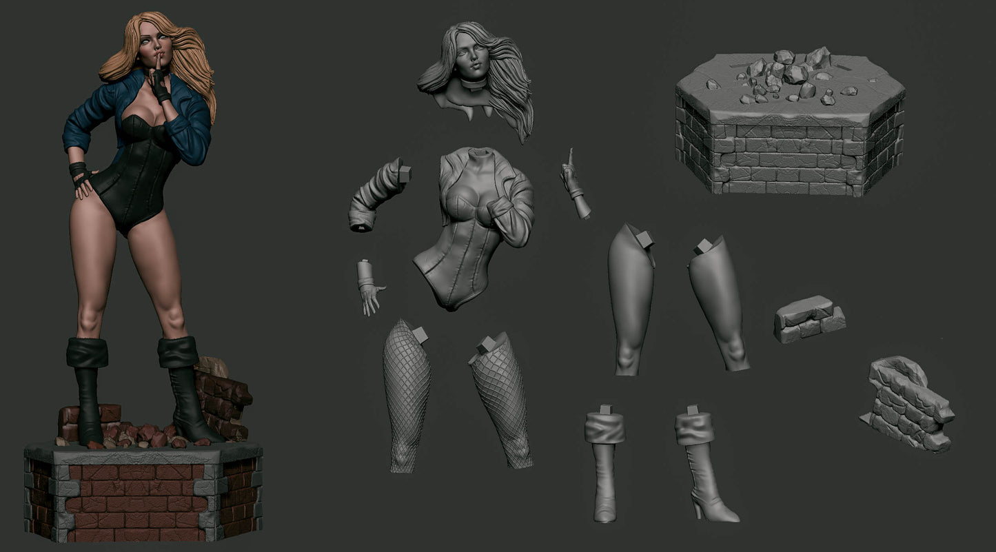 1759 Black Canary - DC Comics - STL 3D Print Files