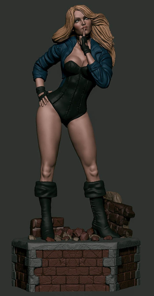 1759 Black Canary - DC Comics - STL 3D Print Files