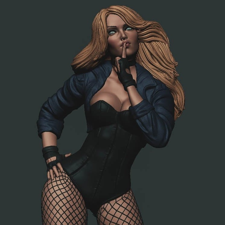 1759 Black Canary - DC Comics - STL 3D Print Files