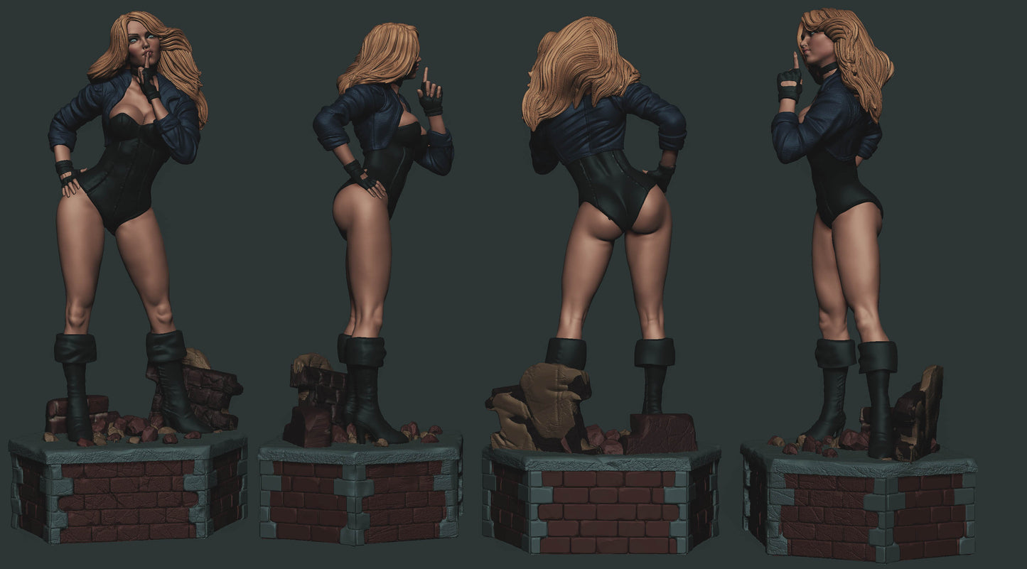 1759 Black Canary - DC Comics - STL 3D Print Files