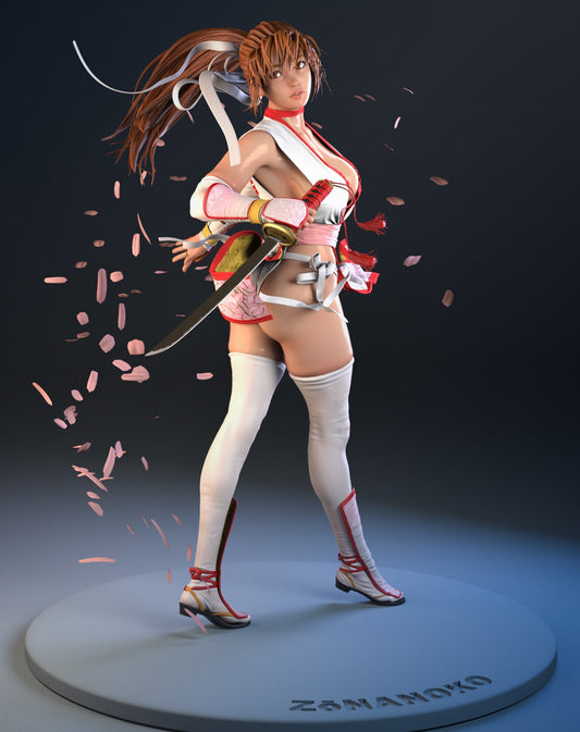 1602 Kasumi - Dead or Alive - STL 3D Print Files