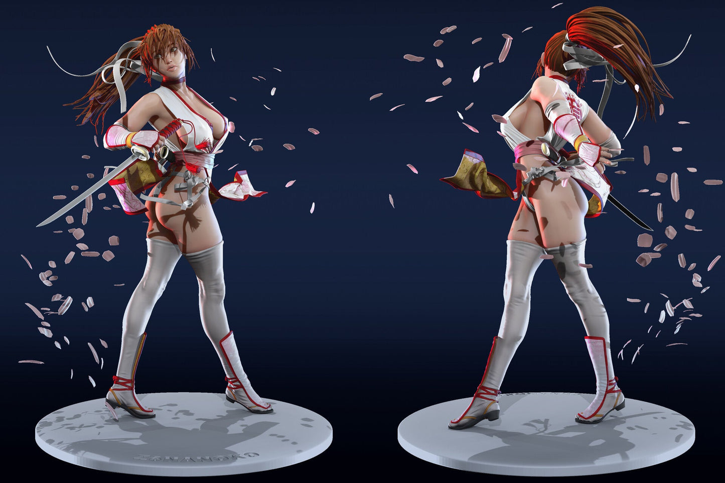 1602 Kasumi - Dead or Alive - STL 3D Print Files