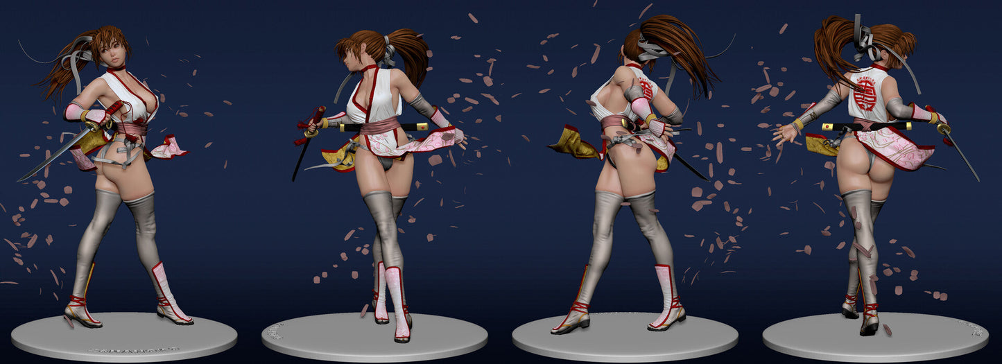 1602 Kasumi - Dead or Alive - STL 3D Print Files