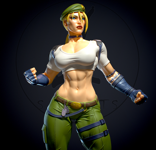 Sonya Blade NSFW - Mortal Kombat - STL 3D Print Files