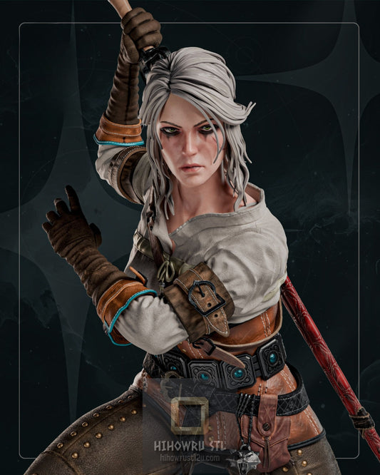 5312 CIRI - The Witcher IV - STL 3D Print Files