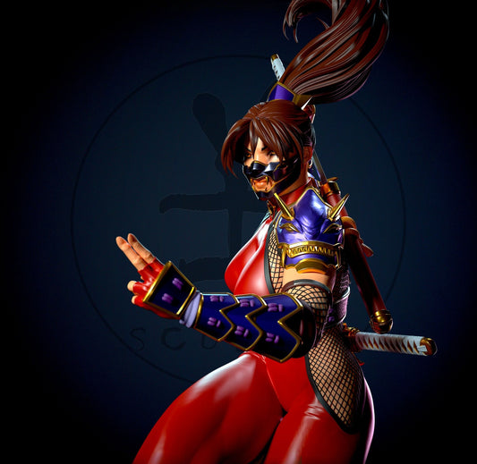 3141 Taki NSFW - Soul Calibur - STL 3D Print Files