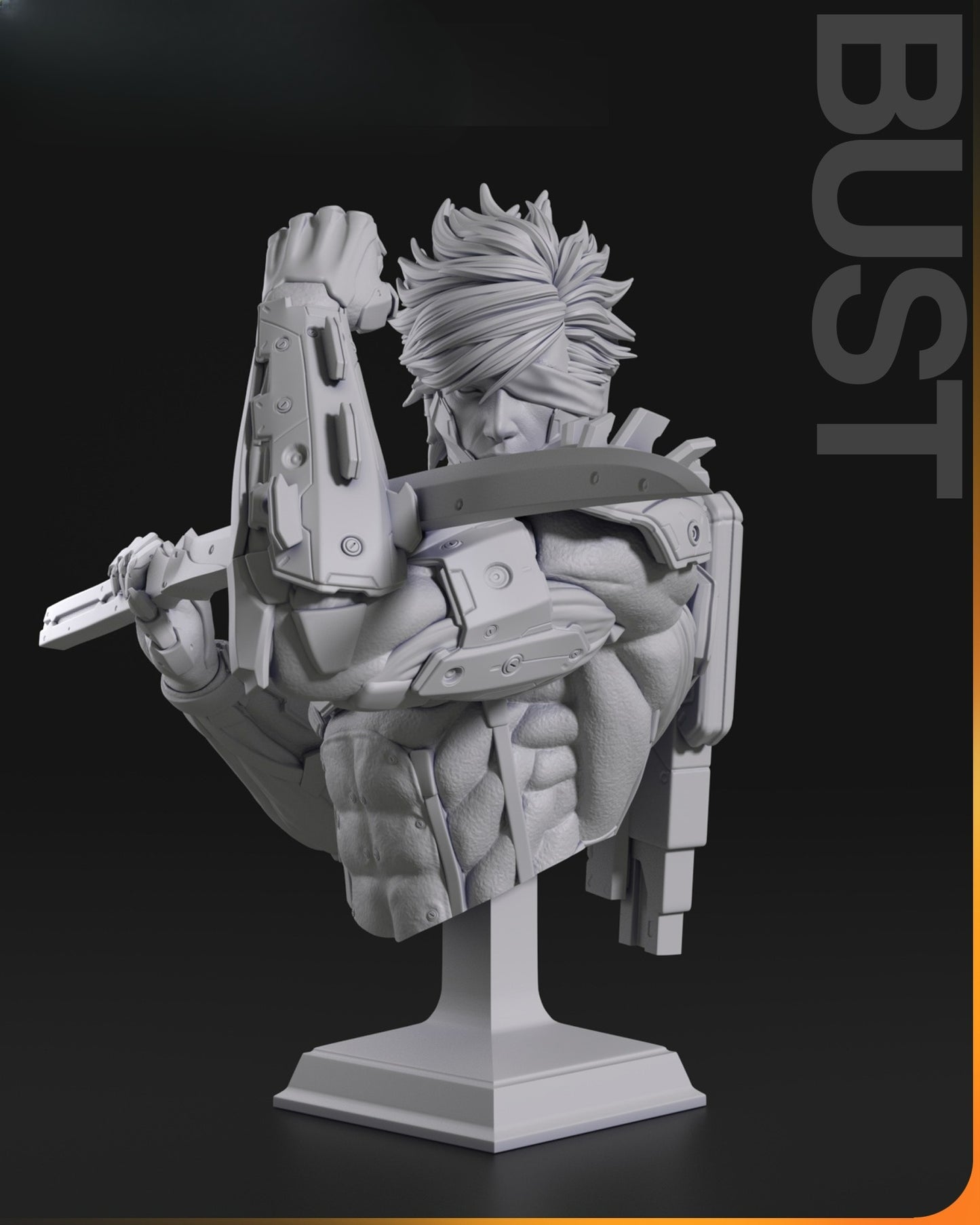 3658 Raiden - Metal Gear - STL 3D Print Files