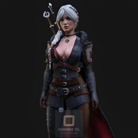 4807 CIRI - The Witcher IV - STL 3D Print Files