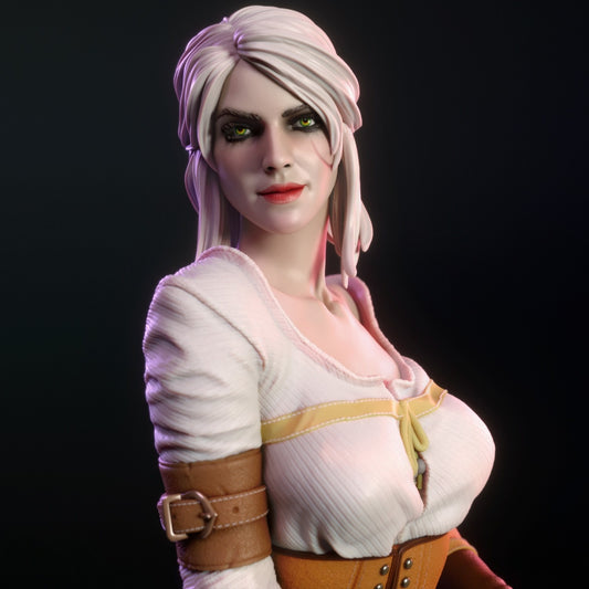 4188 Ciri NSFW - Witcher - STL 3D Print Files