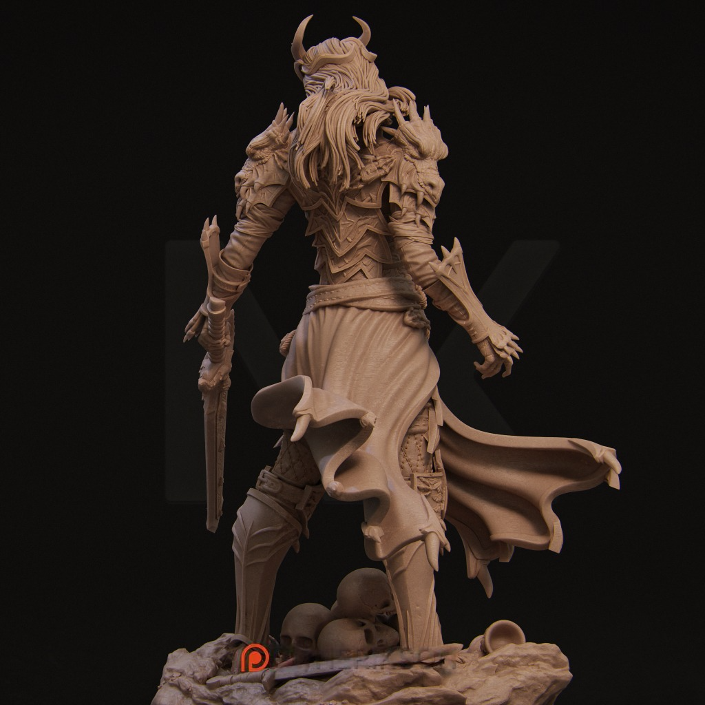 2172 Aleehra Warrior - STL 3D Print Files