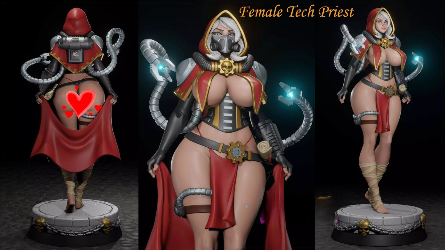 4306 Female Tech Priest NSFW - STL 3D Print Files
