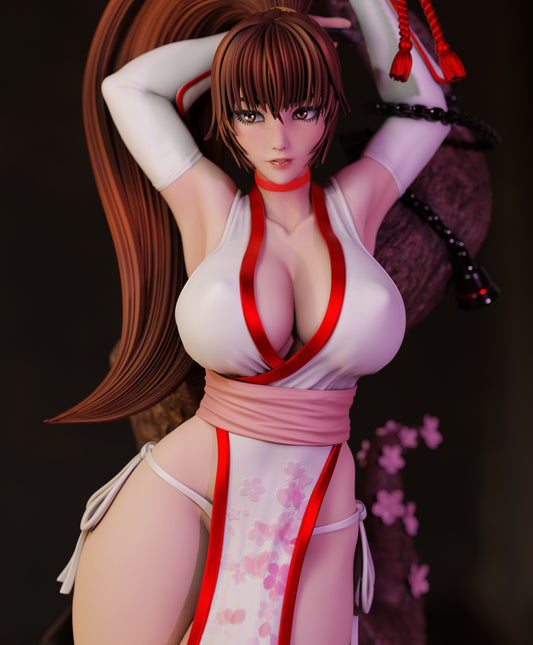 3494 Kasumi NSFW - Dead or Alive - STL 3D Print Files