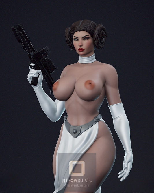 4447 Princess Leia NSFW - Star Wars - STL 3D Print Files