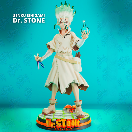 Senku Ishigami - Dr. Stone - STL 3D Print Files