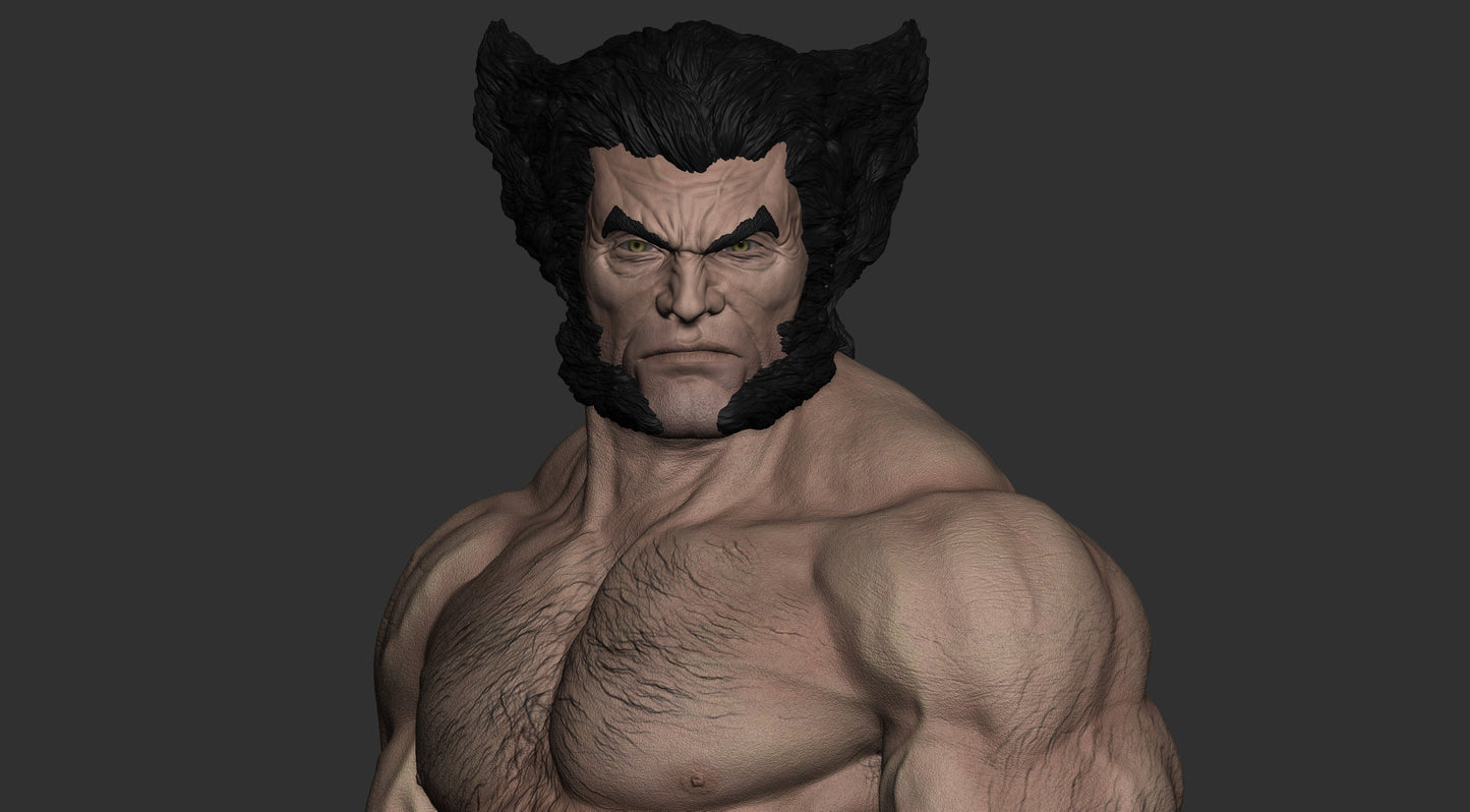 1501 Wolverine - X-MEN - STL 3D Print Files