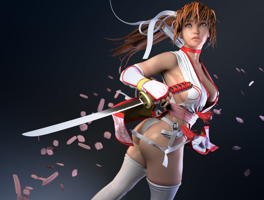 1602 Kasumi - Dead or Alive - STL 3D Print Files